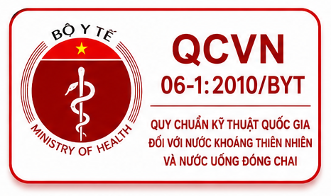 Chứng chỉ 6